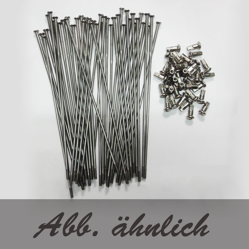 BSA A10/A65 vorne Vollnabe 1958-65 19" Speichensatz