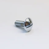 Chrome Screw